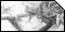 null361 - Graffiti Sketches Thüringen null361 - Graffiti Sketches Thüringen