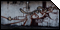 null361 - Graffiti Wände Thüringen null361 - Graffiti Wände Thüringen