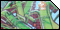null361 - Graffiti Wände Thüringen null361 - Graffiti Wände Thüringen