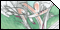 null361 - Graffiti Sketches Thüringen