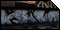 null361 - Graffiti Wände Thüringen
